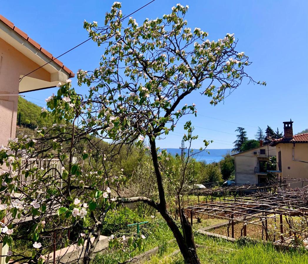 Villa Flamingo Moscenicka Draga Bagian luar foto